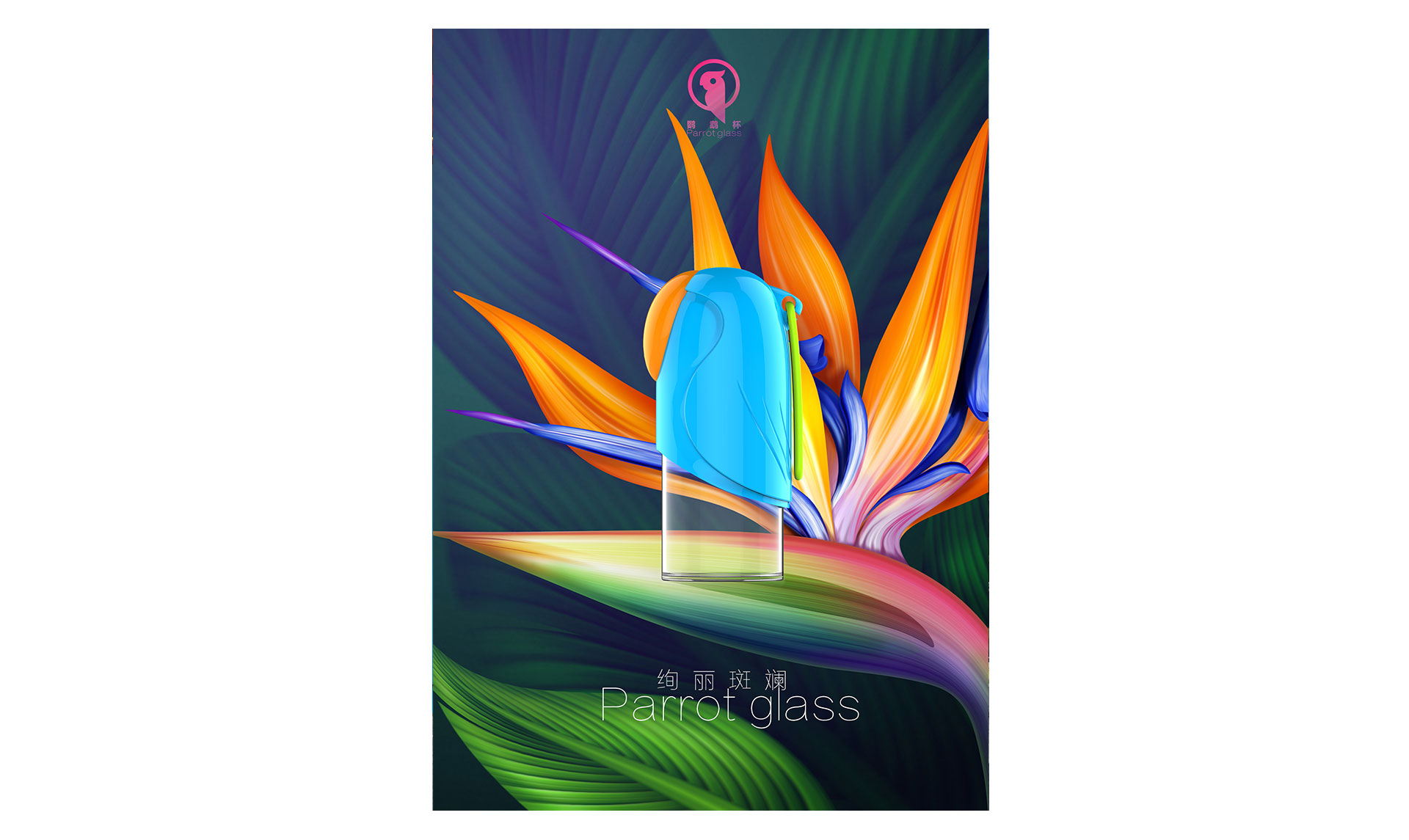 HelloDream鹦鹉杯色彩